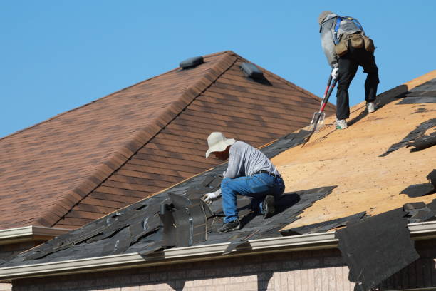 Best Roof Moss and Algae Removal  in White Hall, WV
